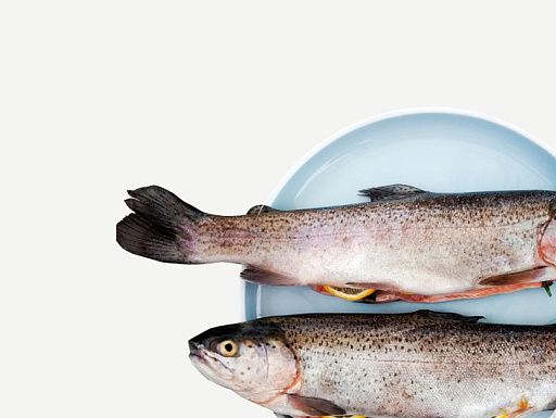 Рыба, морепродукты — заказать фермерские натуральные продукты с ...