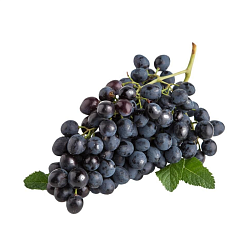 Виноград киш-миш чёрный на ветке (вес)