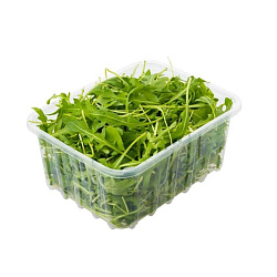 Руккола ~130 гр. (в упаковке)